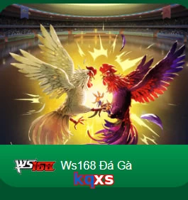 kqxs